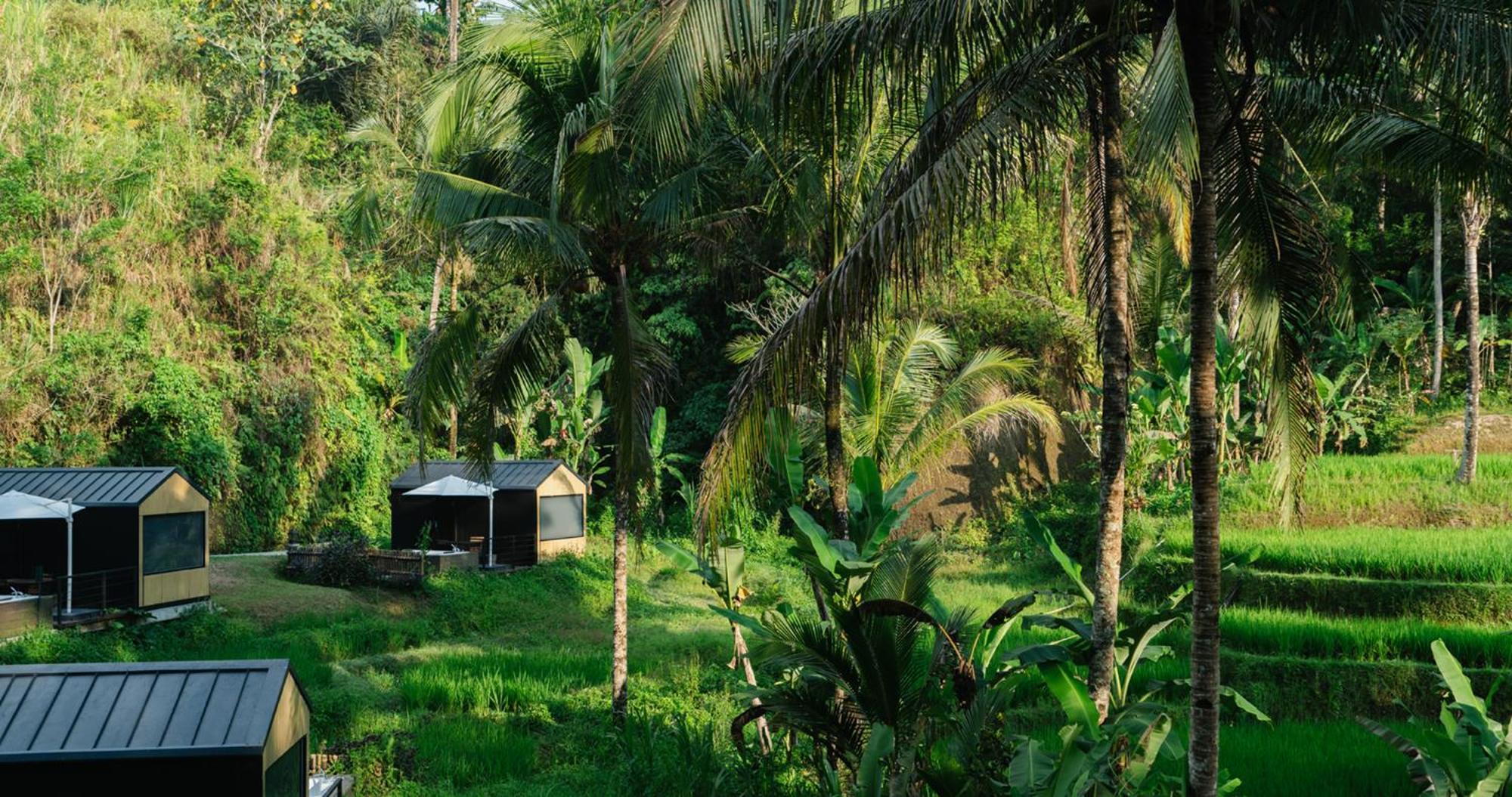 Bobocabin Ubud, Bali 外观 照片